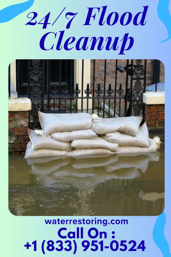 24/7 Flood Cleanup in Bowlus, MN