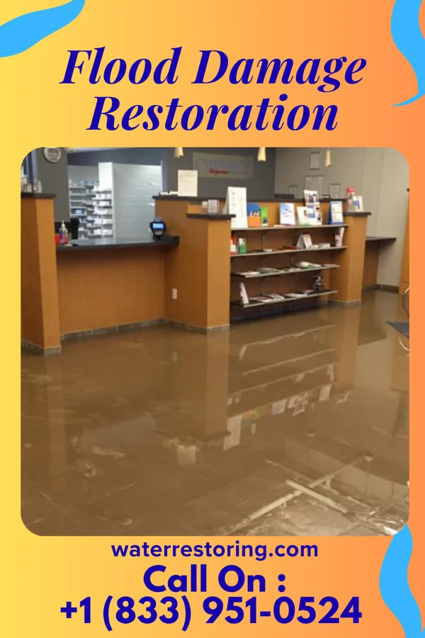 Flood Damage Restoration in Bowlus, MN