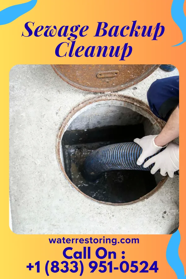 Sewage Backup Cleanup in Bowlus, MN