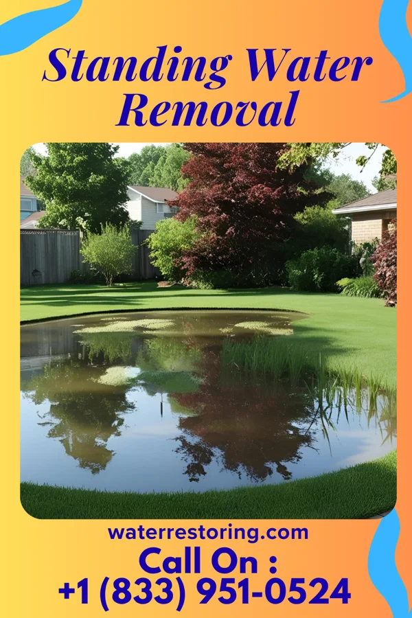 Standing Water Removal in Bowlus, MN